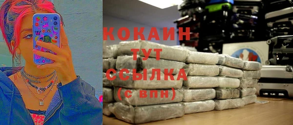 дмт Богородск